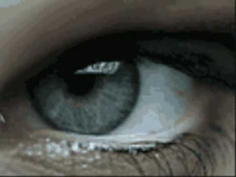 Dreadful Shadows - Funeral procession