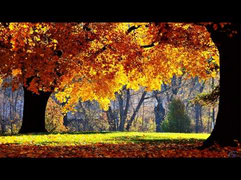 Hypnotic Duo - Autumnal Logo (Original Mix)