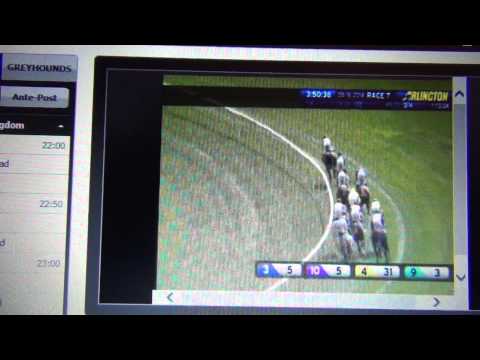 American St Ledger 2014