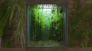 [問題] 找不到滴水版本的抽水馬達