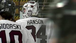 Men's Hockey Highlights vs Princeton (Feb. 21, 2020)