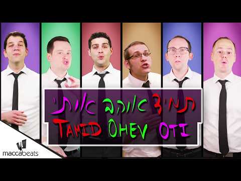 The Maccabeats - Tamid Ohev Oti - תמיד אוהב אותי