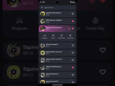 Squirrel Sounds Video