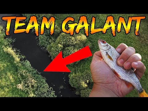 Skallefiskeri i å med KanalGratis