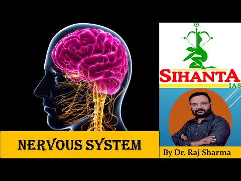 Sihanta IAS Academy Delhi Video 1
