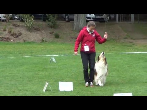 Queenie16 04 23 RO Uerdingen M2U01023