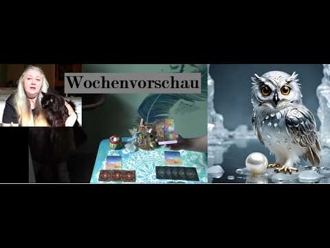 Woche 03.02.-09.02.2025 🦉 Hol dir deine Kraft zurück 💪 und erkenne welche Perle du bist 🦪