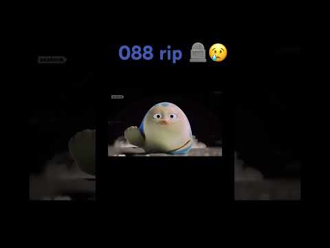 #sealook 088 sacrifice for save her pup 🦭🥺🥺