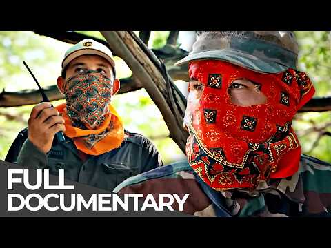 Mexico: The Sinaloa Connection