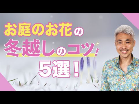 寒さや霜から木を守るために冬のベールを掛けるにはどうすればよいですか？  庭園