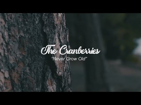 The Cranberries Never Grow old - Lyrics