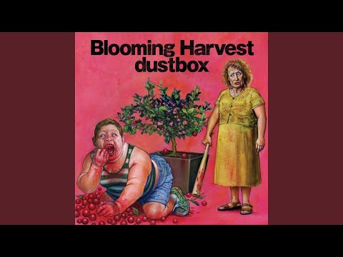 Sleepless Night - dustbox