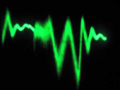 The First Musical Instrument