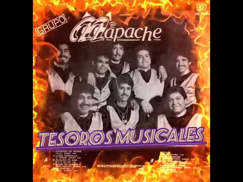 GRUPO MAPACHE DE MONCLOVA COAHUILA VOL 4 1988 DISCOS GG - VIVIENDO DE NOCHE