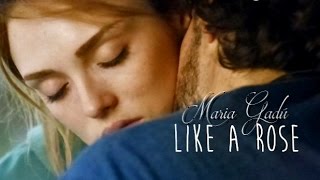 Maria Gadú  Like a Rose (Tradução) Trilha Sonora Sete Vidas Tema de Pedro e Julia