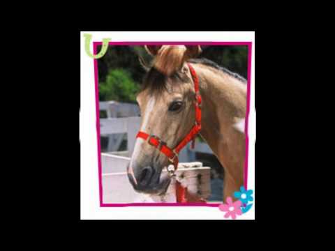 Grand galop-Présentation