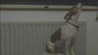 Howling Redman - Smash Sumthin (Intro Only)