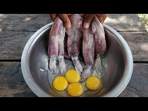 download lagu mp3 mp4 How To Cook Squid, download lagu How To Cook Squid gratis, unduh video klip How To Cook Squid