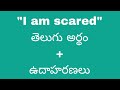 I Am Scared Meaning In Telugu With Examples I Am Scared తెలుగు లో అర్థం Me