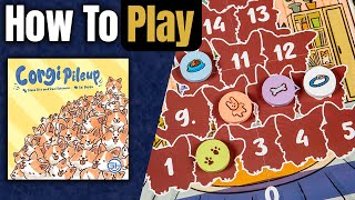 kovray - Corgi Pileup video thumbnail