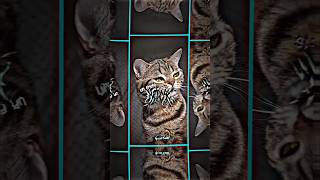 Download lagu PRESET AM DJ AKU SUKA BODY AISYAH BY DJ SEBATS 🥵🔥 #shorts #presetam mp3