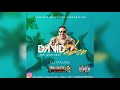 David Pabon Especial Mix - Dj Mauro Ft Terrible Evolution Corporation (Salsa Mix 2021)
