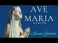 Ave Maria - G. Caccini / Brinums - Inessa Galante