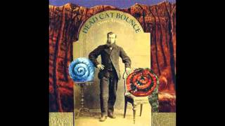 Dead Cat Bounce - Tourvan Confessin'