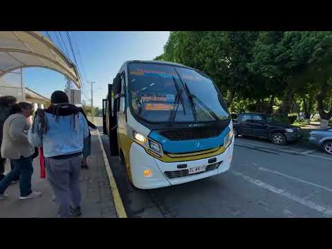 Homicidio frustrado en Santa Juana: sujetos dispararon en más de 10 ocasiones