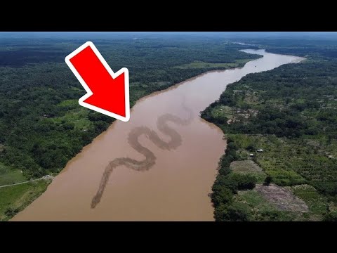 Por Que O Rio Amazonas Não Tem Pontes