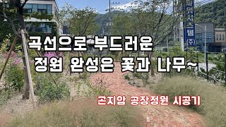 벽돌길과 잘어울리는 식재~          /정원/조경/