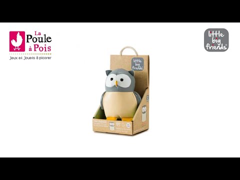 Hochet Colette la petite chouette - Little Big Friends - lapouleapois.fr