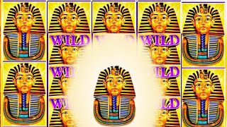 BIG WIN on Sphinx Wild Slot IGT Casino Action!