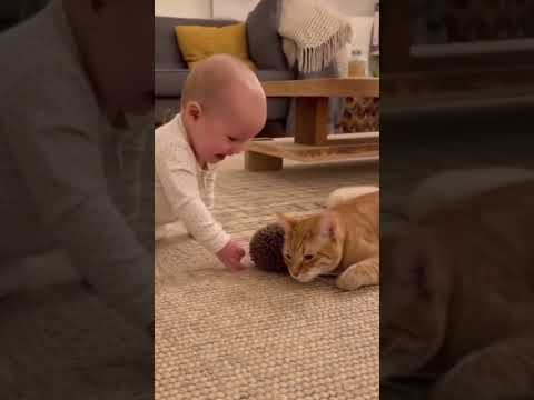 Cat Playing with the baby    #1millionviews #funny #viral #comedy