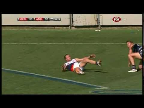 Speccie - Adelaide's Porpoise takes flight - AFL