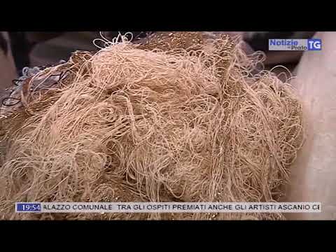 2018-03-16 NOTIZIE DI PRATO TG ORE 19.45