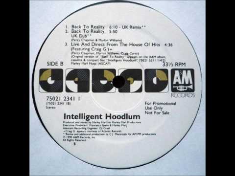 Intelligent Hoodlum - Back To Reality (UK Remix)