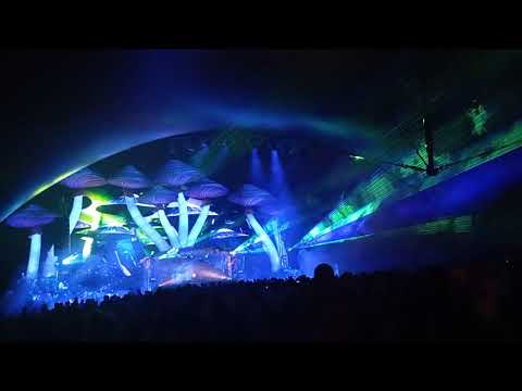 D-Sturb @ Tomorrowland 2023 – Weekend 1 – Youphoria Stage