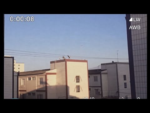 eu tinha jurado que não ia voltar