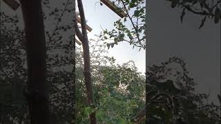 كواليس تصوير الشخصية الكرتونية توم سوير