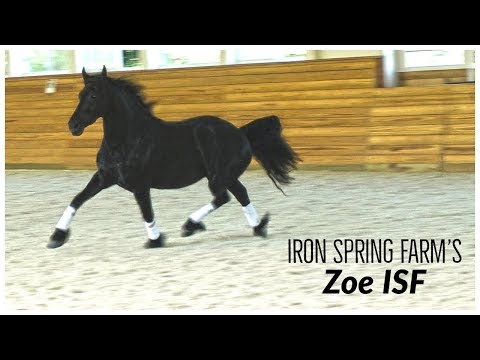 Zoe ISF at Iron Spring Farm, June 2018