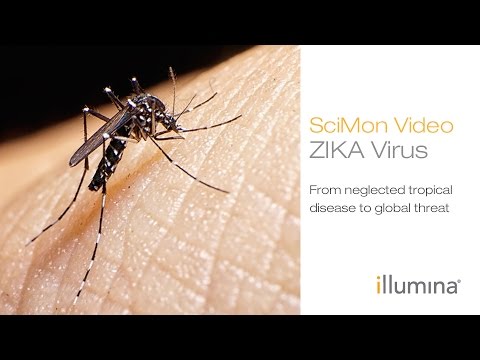 Zika Virus: From Neglected Tropical Disease to Global Threat | Illumina SciMon Video