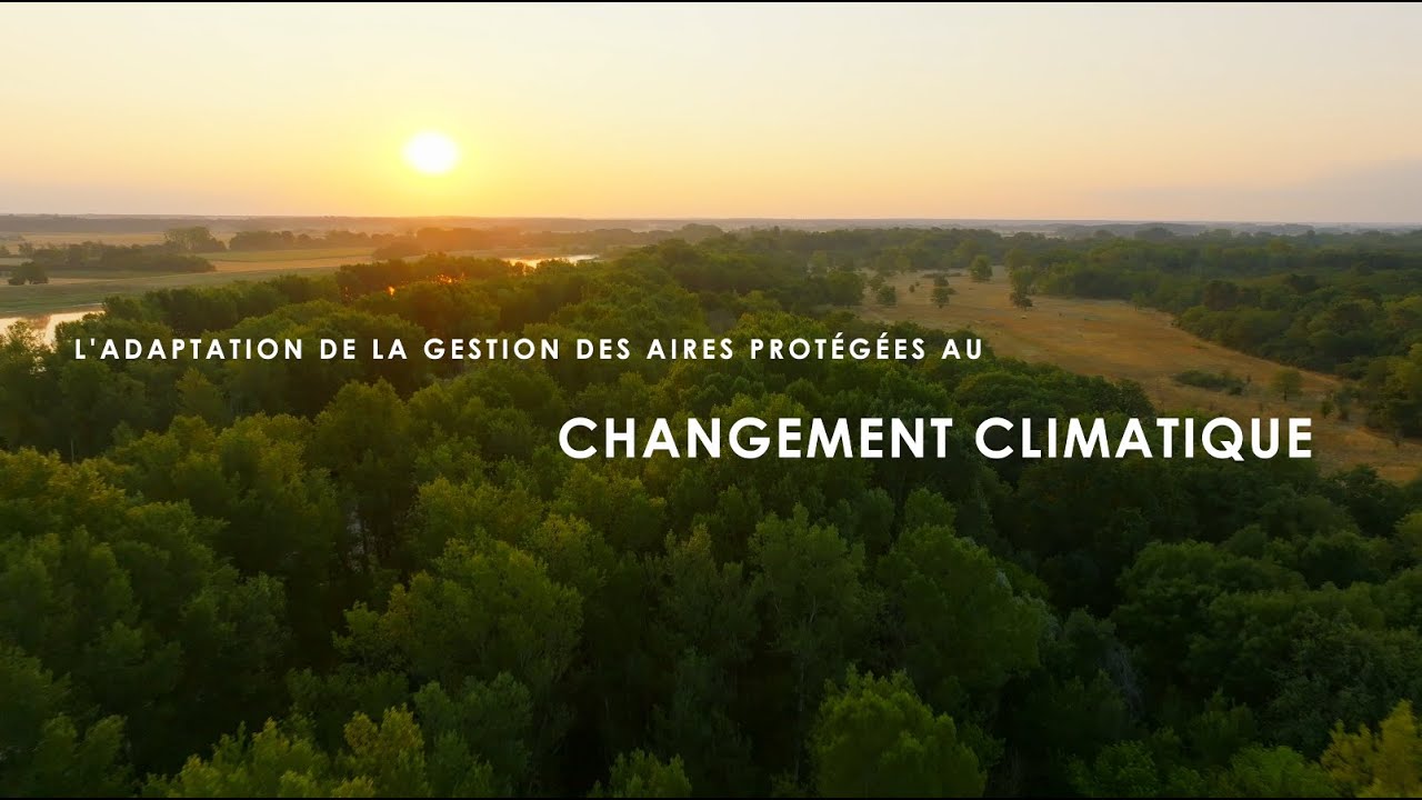 L'adaptation de la gestion des aires protégées au changement climatique
