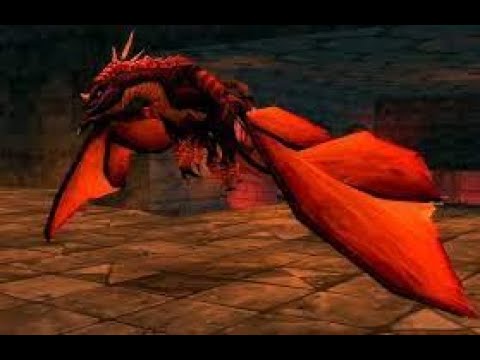 Raids of Azeroth RPG (Warcraft 3) | Blackwing Lair - Firemaw/Ebonroc/Flamegor