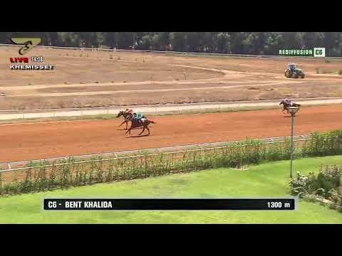 Live Hippodrome « Khemisset » | Courses du « 16/08/2020 »