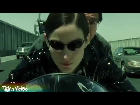 Mo-do enz zwei polizei(dhoom)