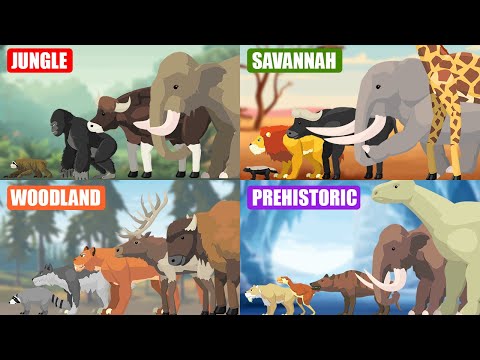 ALL Walking Wild Animals Size Comparison | Animal Animation