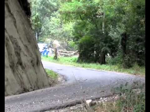 Rally Del Vulcanetto (RE) agosto 2011