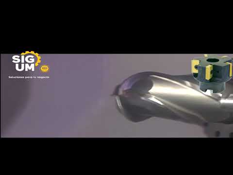 SIGUM 23 03 19 vercion2