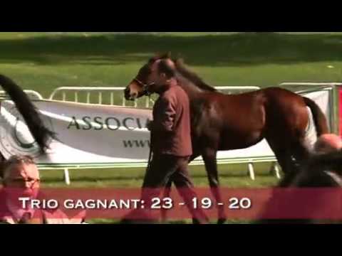 SHOW AQPS du Lion d'Angers 2010 - Les rappels